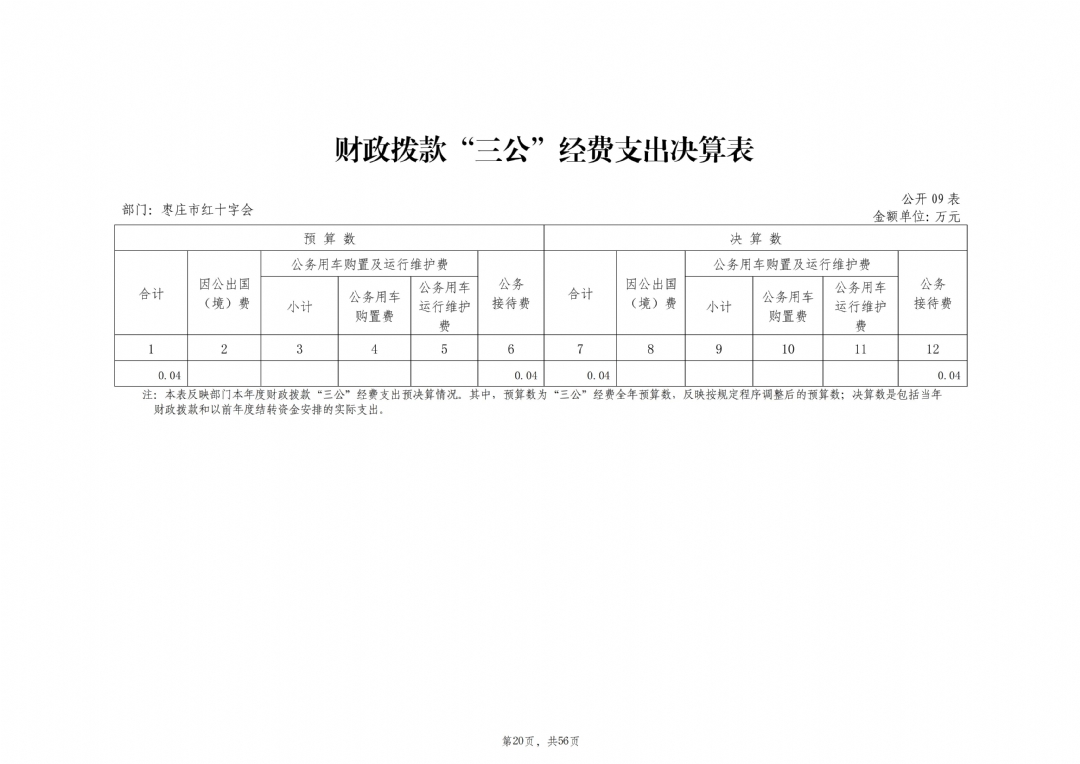 2024年度枣庄市红十字会部门决算_21