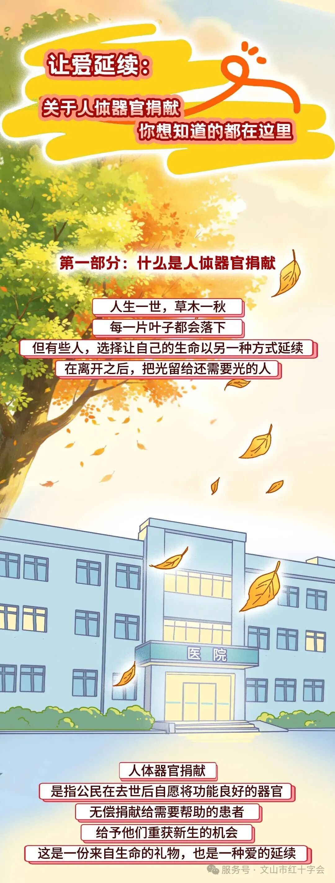 8511